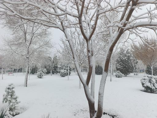 عکس پارک بهشت