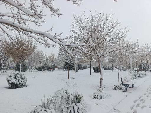 عکس پارک بهشت