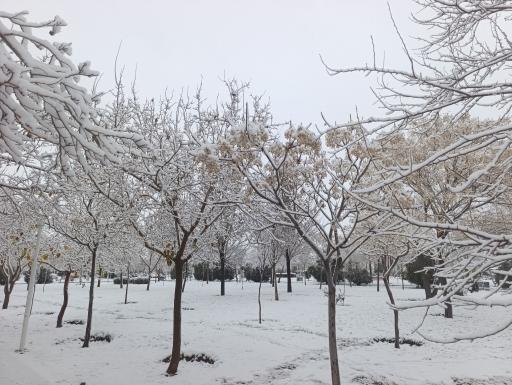 عکس پارک بهشت