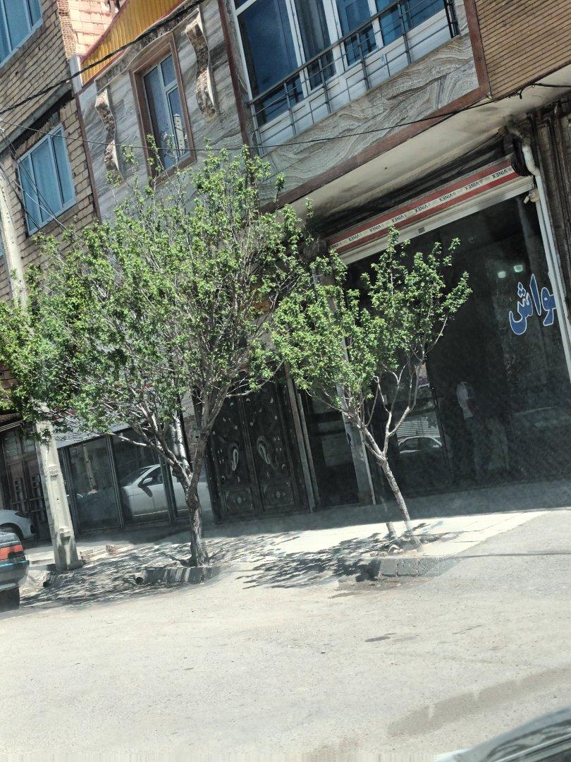 عکس نانوایی