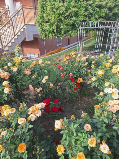 عکس معاونت خدمات شهرداری منطقه ۸