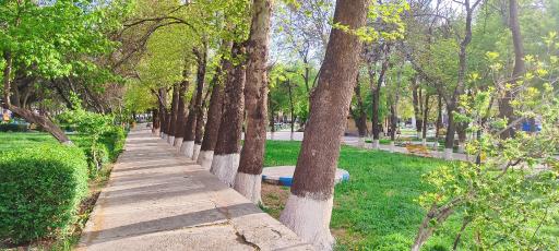 عکس پارک شهر قدیم
