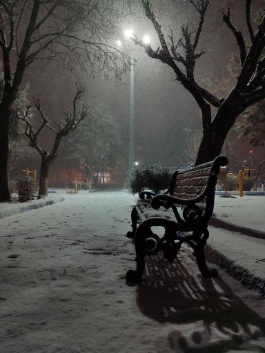عکس پارک شهر قدیم