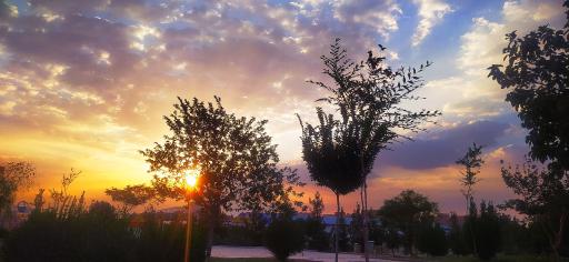 عکس پارک بهشت