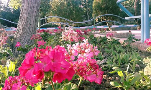 عکس پارک بهشت