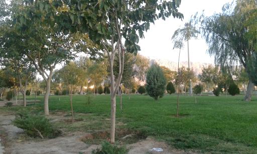 عکس پارک بهشت