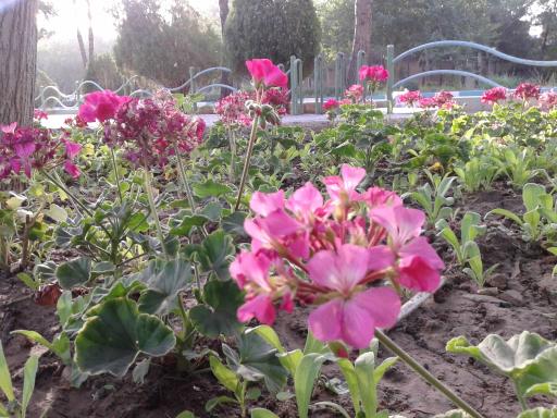 عکس پارک بهشت