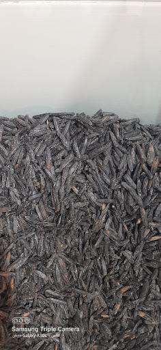 عکس آجیلی تخمه داغ گونشلی