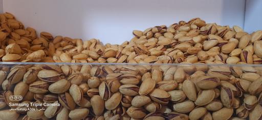 عکس آجیلی تخمه داغ گونشلی