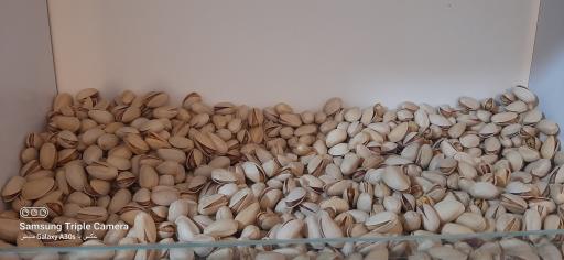 عکس آجیلی تخمه داغ گونشلی