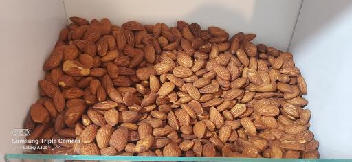 عکس آجیلی تخمه داغ گونشلی