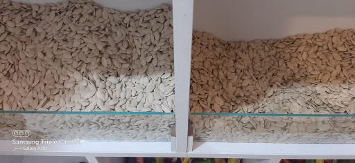 عکس آجیلی تخمه داغ گونشلی