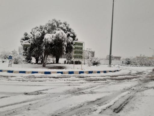 عکس دانشگاه کاشان