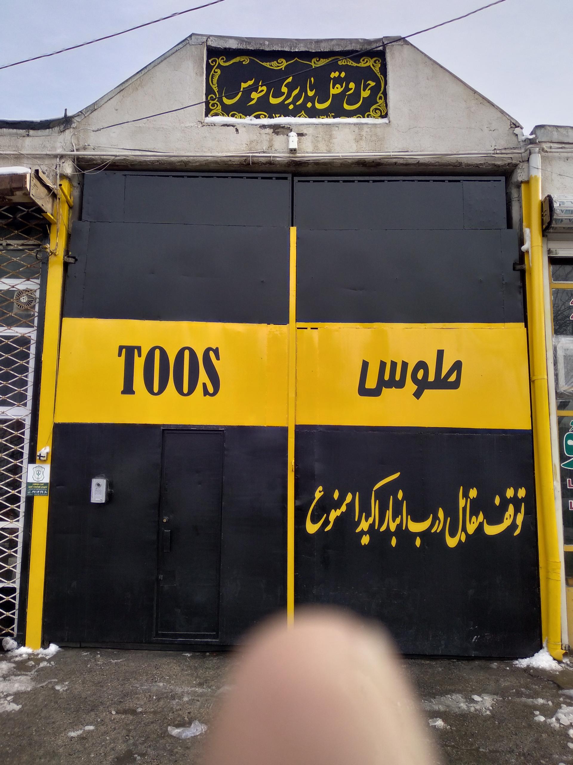 عکس باربری توس