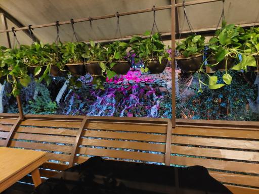 عکس مجموعه رستورانی خوشا شیراز