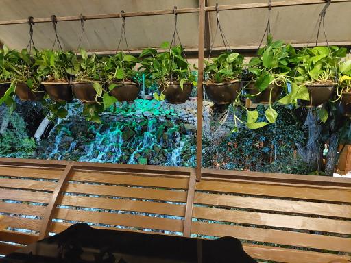 عکس مجموعه رستورانی خوشا شیراز