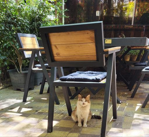 عکس مجموعه رستورانی خوشا شیراز