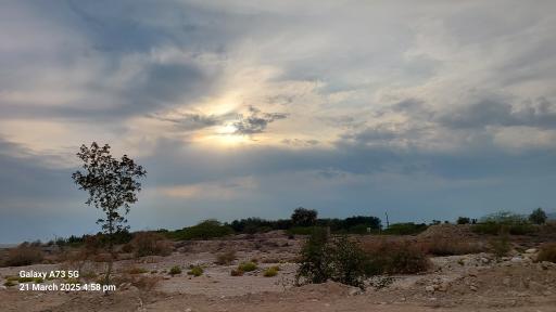 عکس بندر سیراف