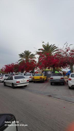 عکس بندر سیراف