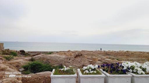 عکس بندر سیراف