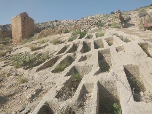 عکس بندر سیراف