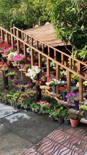 عکس مجموعه رستورانی خوشا شیراز