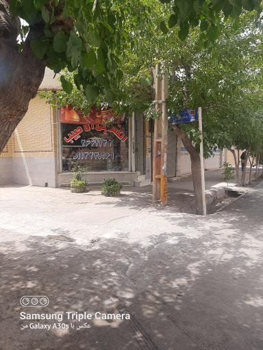 عکس الکتریکی آل حبیب