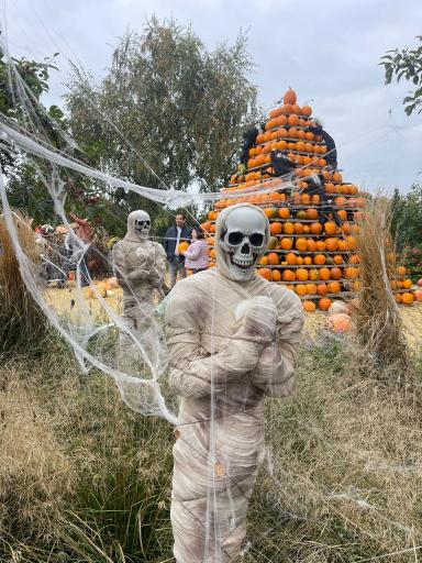 عکس مجموعه رستورانی خوشا شیراز