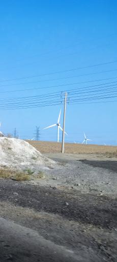 عکس بینالود