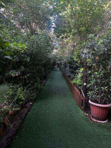 عکس مجموعه رستورانی خوشا شیراز