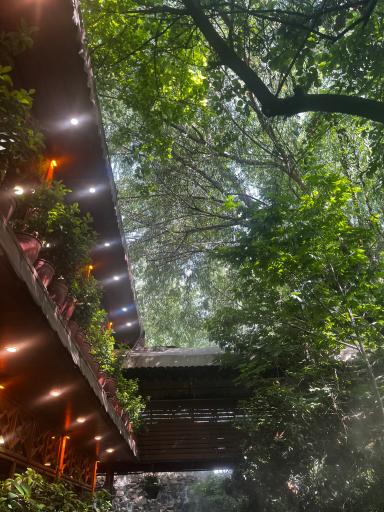 عکس مجموعه رستورانی خوشا شیراز