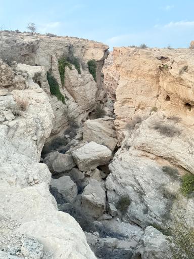 عکس بندر سیراف