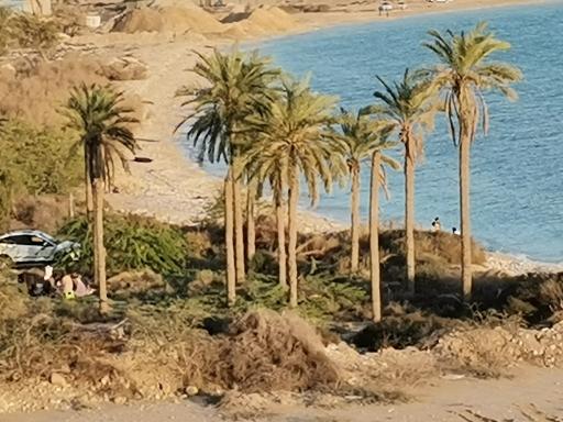 عکس بندر سیراف