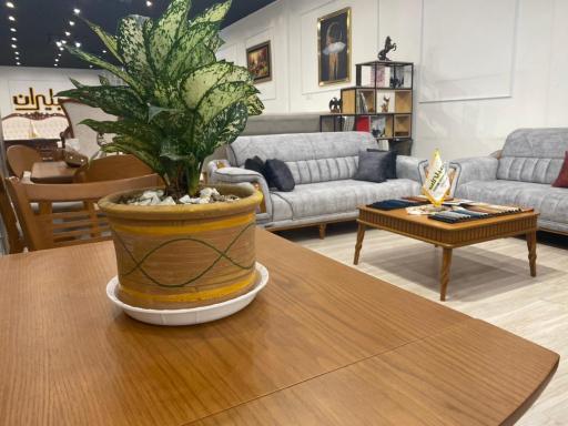 عکس مبلیران 10 (شعبه دلاوران)