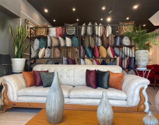 عکس مبلیران 10 (شعبه دلاوران)