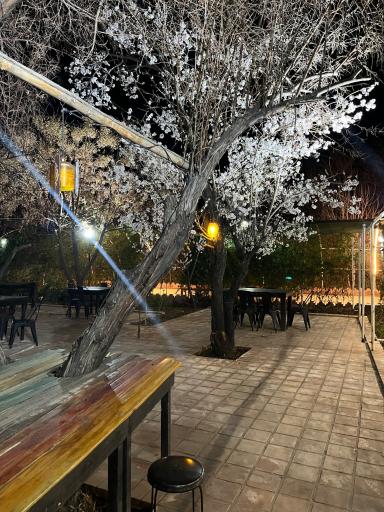 عکس باغ رستوران هاوین