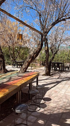 عکس باغ رستوران هاوین