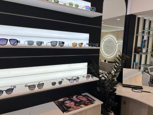 عکس عینک شاندیز