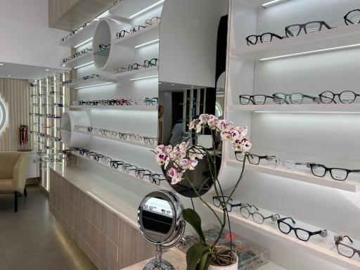 عکس عینک شاندیز