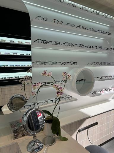 عکس عینک شاندیز