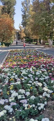 عکس مجموعه فرهنگی تاریخی کاخ نیاوران