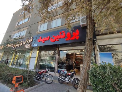 عکس پروتئین سید