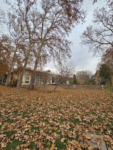 عکس مجموعه فرهنگی تاریخی کاخ نیاوران