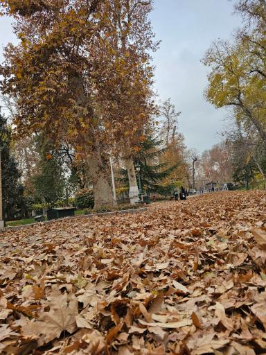 عکس مجموعه فرهنگی تاریخی کاخ نیاوران