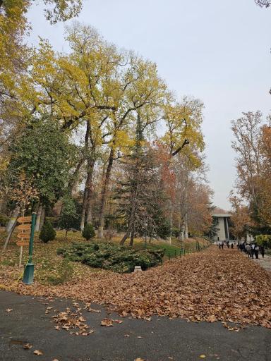 عکس مجموعه فرهنگی تاریخی کاخ نیاوران