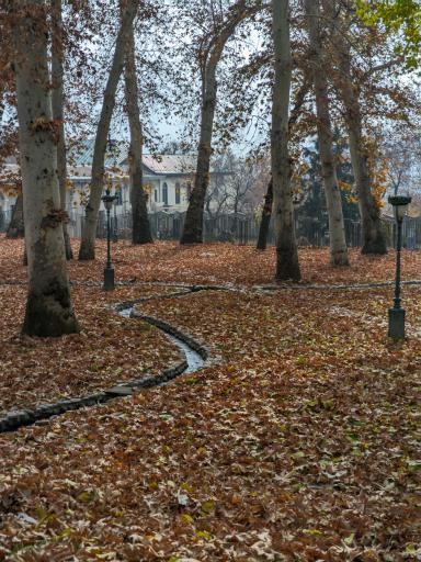 مجموعه فرهنگی تاریخی کاخ نیاوران