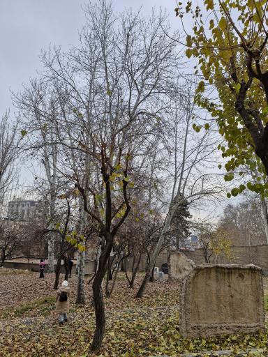 عکس مجموعه فرهنگی تاریخی کاخ نیاوران