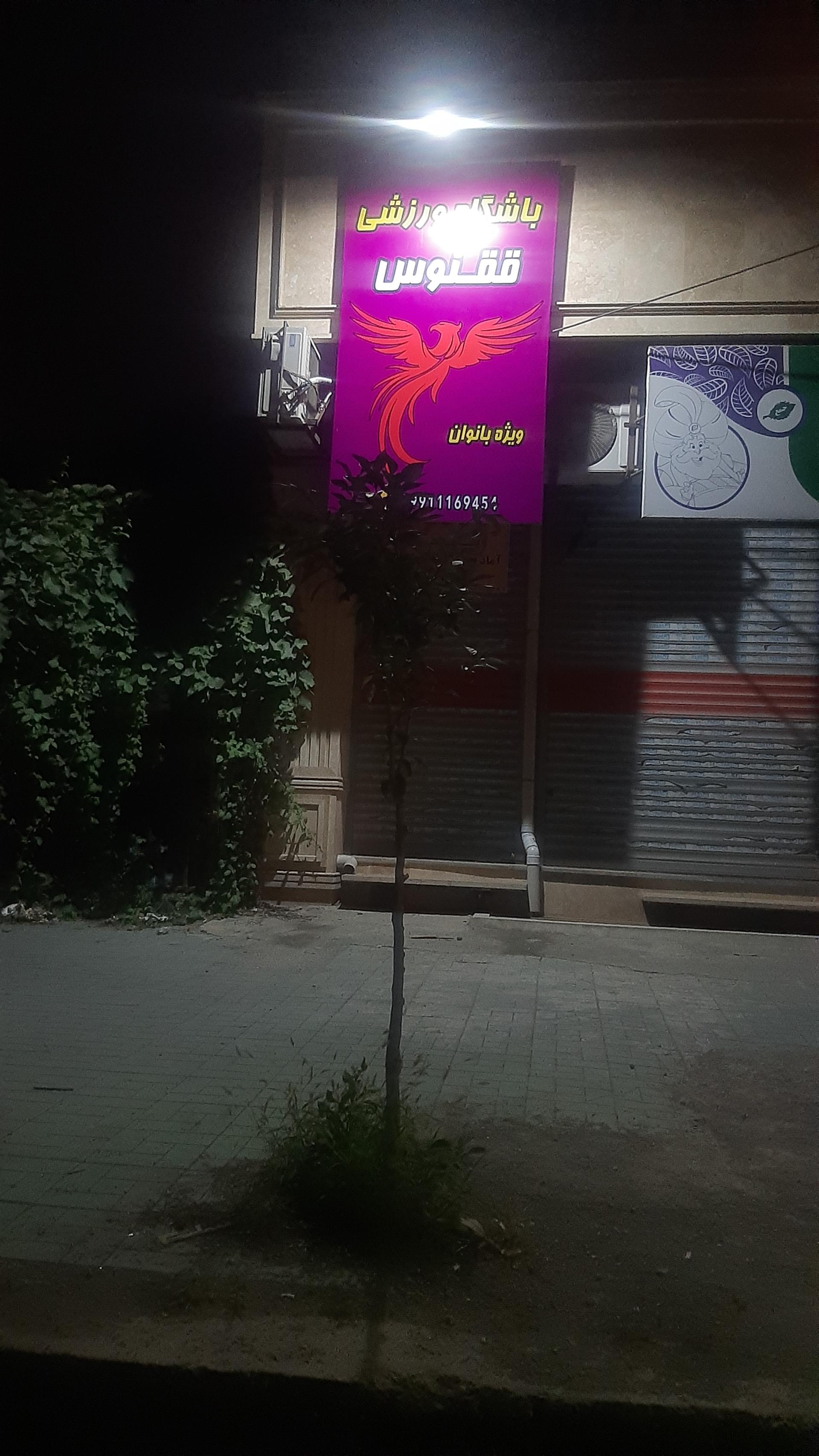 عکس باشگاه ورزشی ققنوس