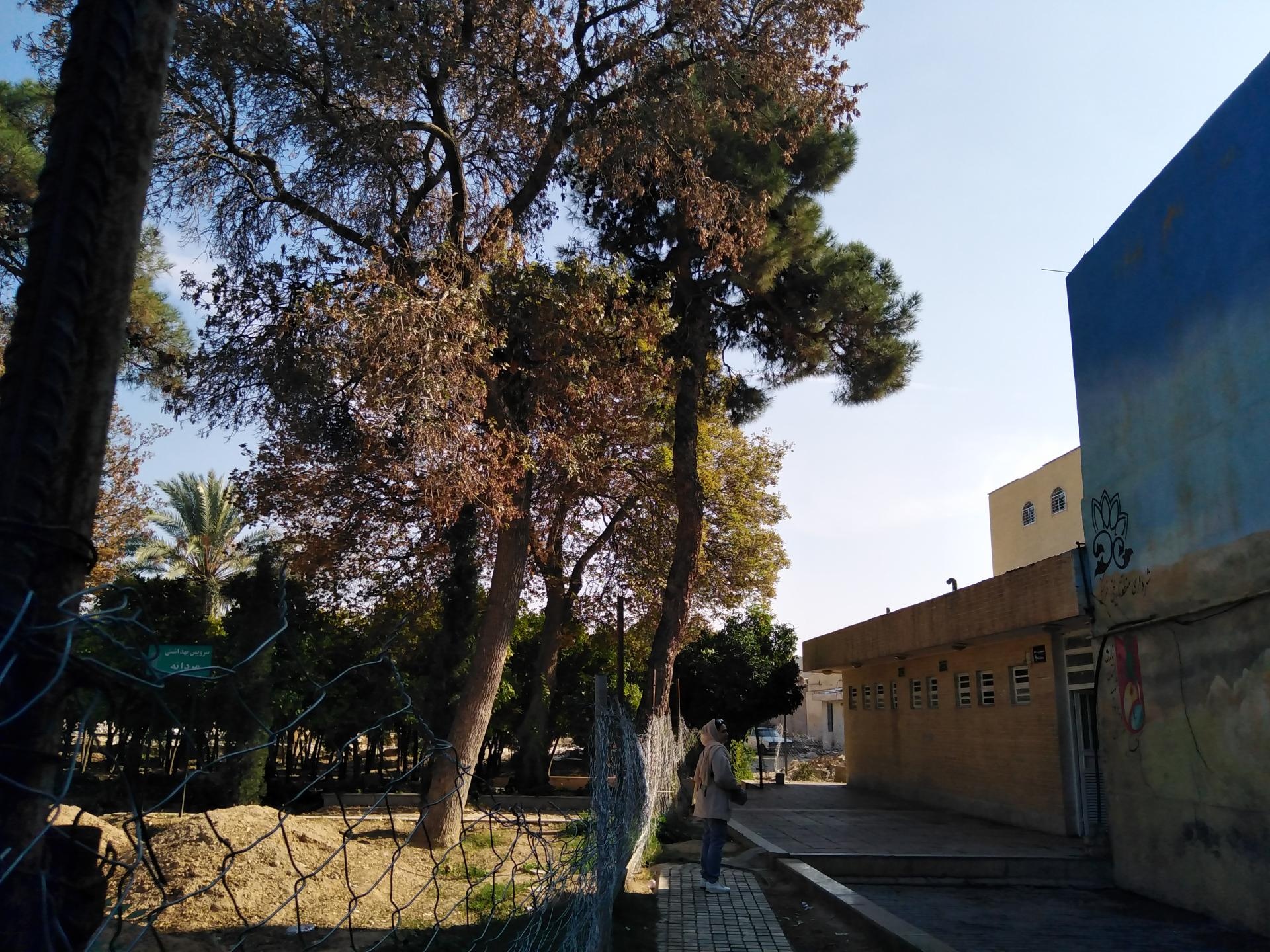 عکس سرویس بهداشتی