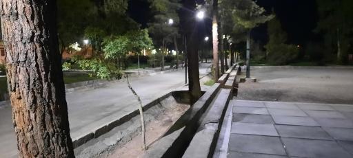 عکس بوستان همیشه بهار